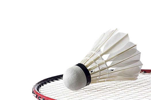 主要集中在 主要集中在