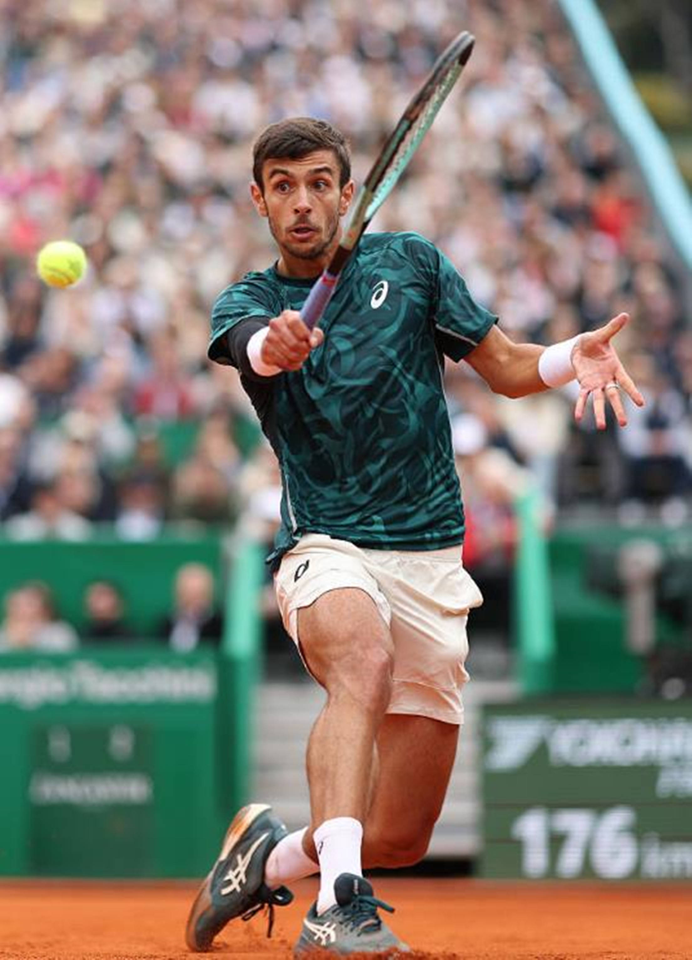 在近期的一 在近期的一