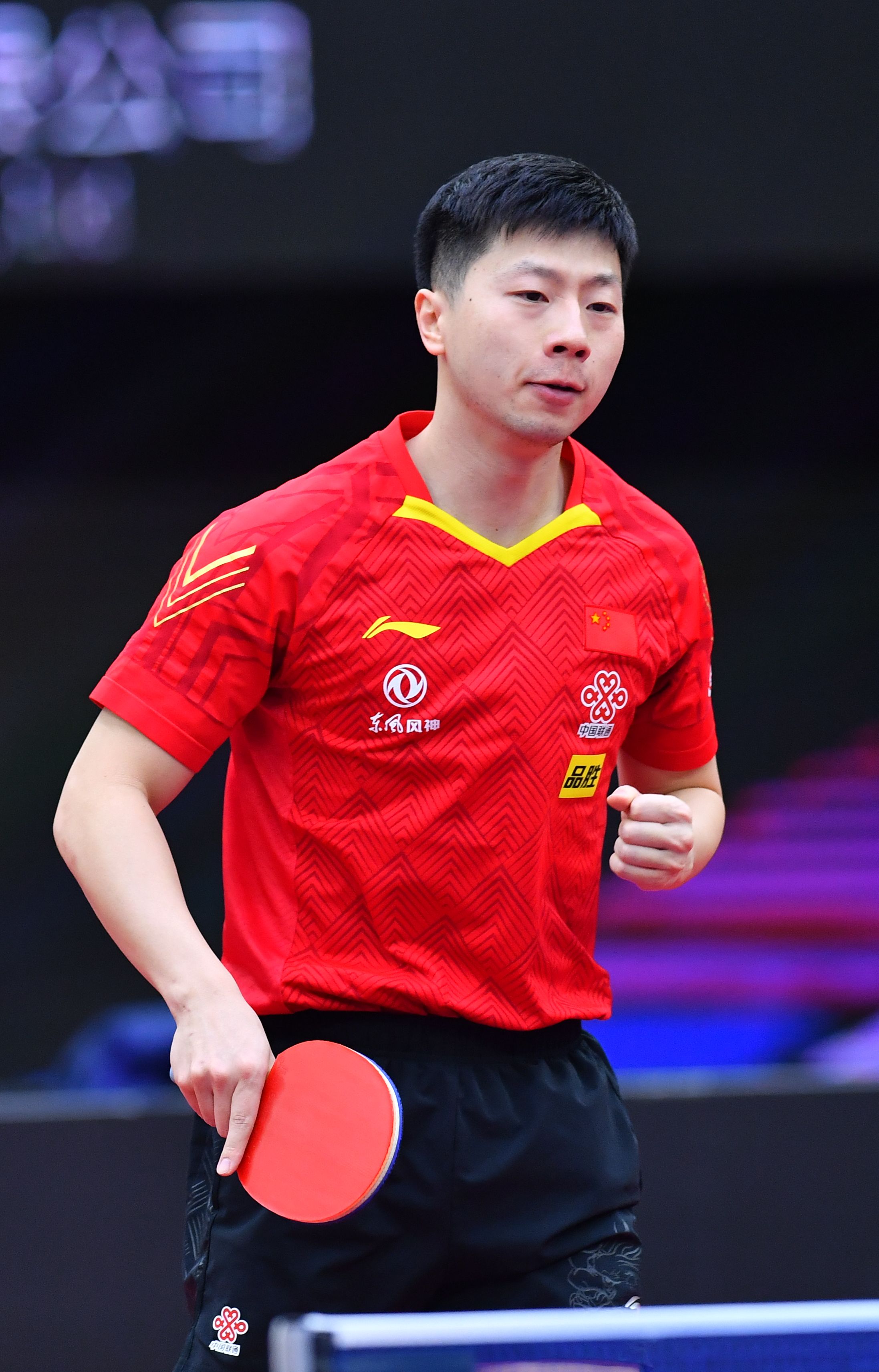 苏达森林狼 苏达森林狼